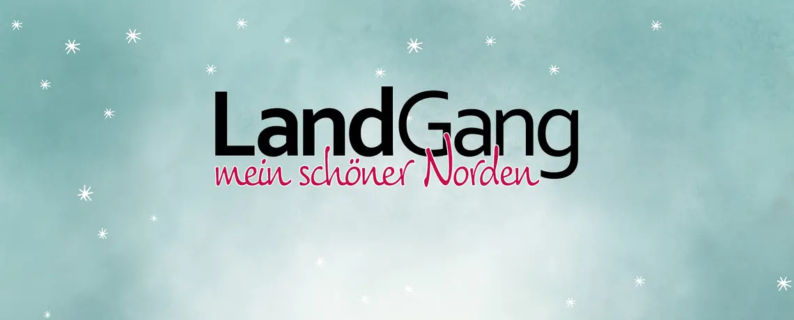 LandGang mein schöner Norden Schriftzug mit goldenen Lichtern im Hintergrund