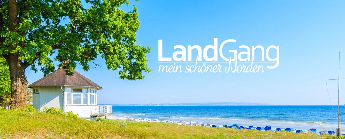 LandGang Header