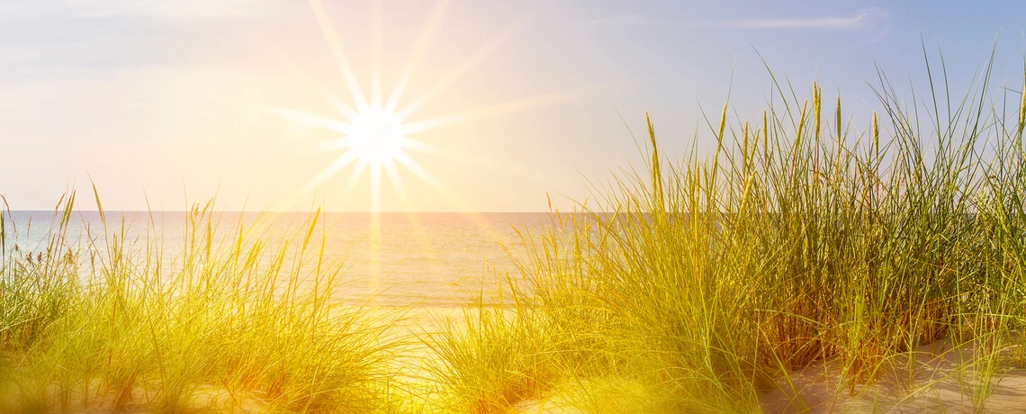 Sonne, Meer, Sand und Dünengras